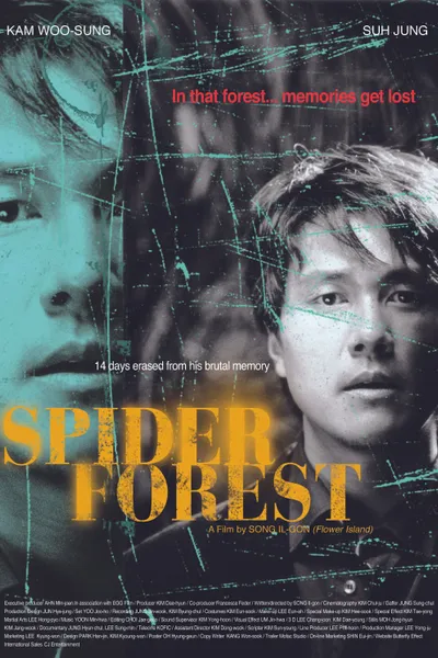 Spider Forest
