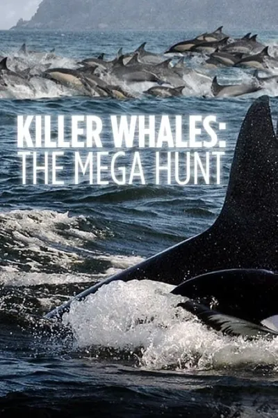 Killer Whales: The Mega Hunt
