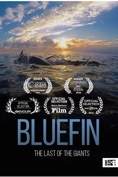 Bluefin