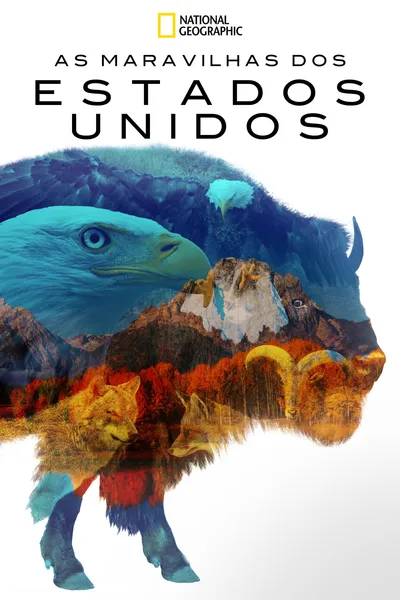 America the Beautiful